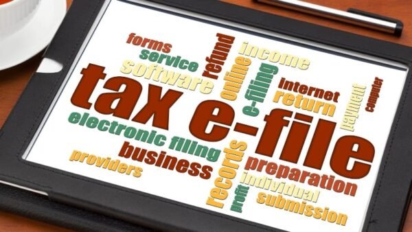 Income Tax and TDS Return e-Filing Live Course - Image 2